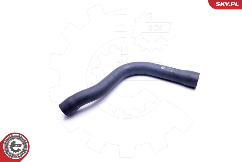 Radiator Hose